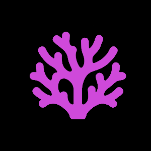 Contributor